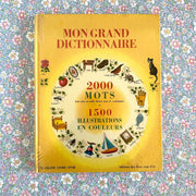 Livre Mon grand dictionnaire