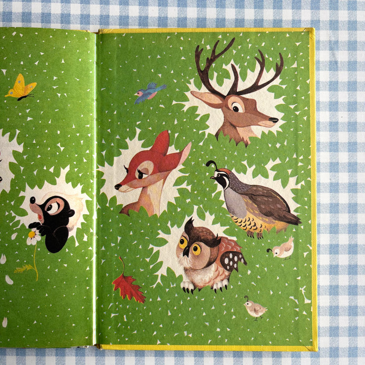 Livre Bambi grandit