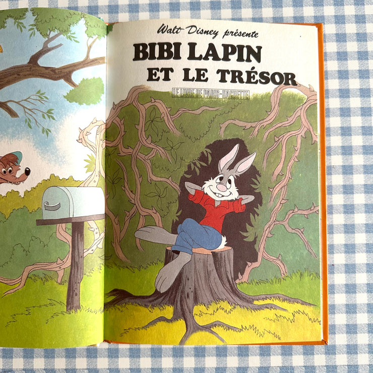 Livre Bibi lapin et le trésor