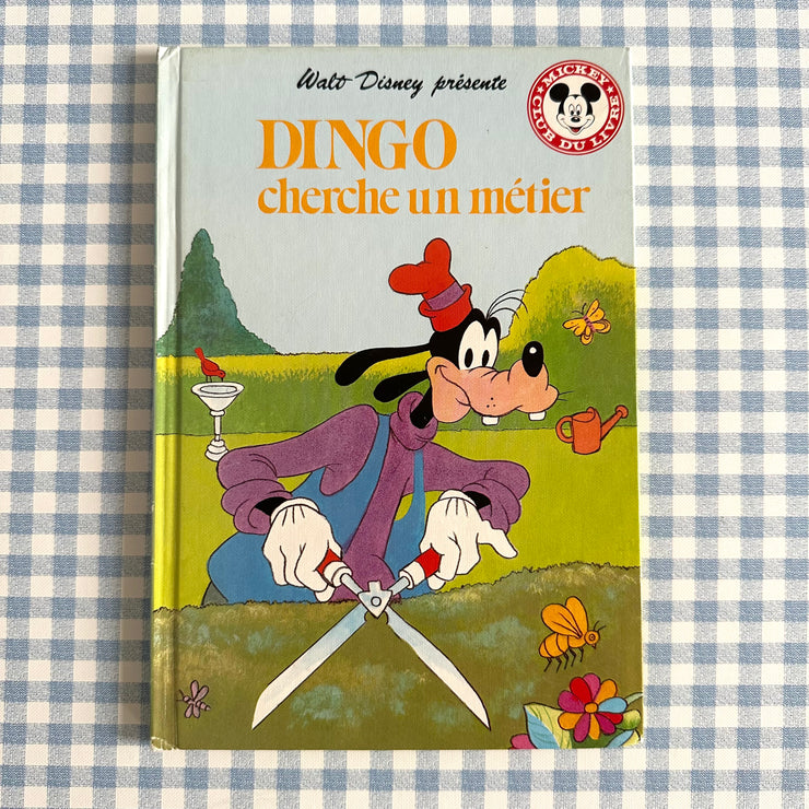 Livre Dingo cherche un métier