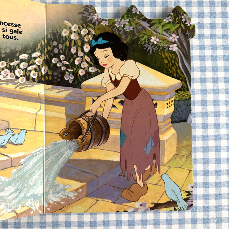 Livre Blanche neige et les 7 nains