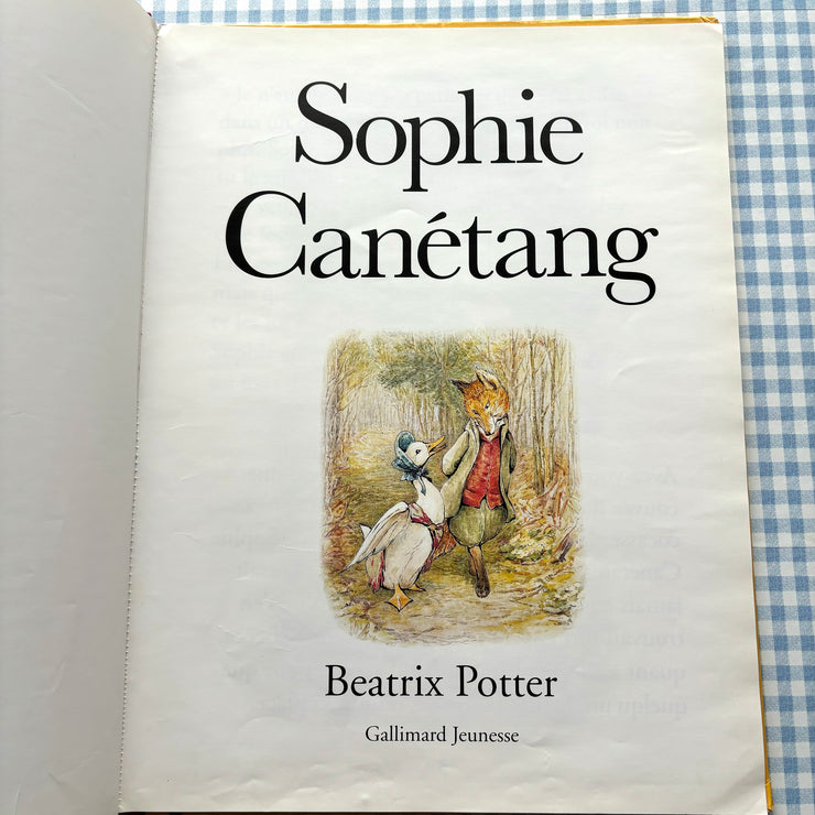 Livre géant Sophie Canétang