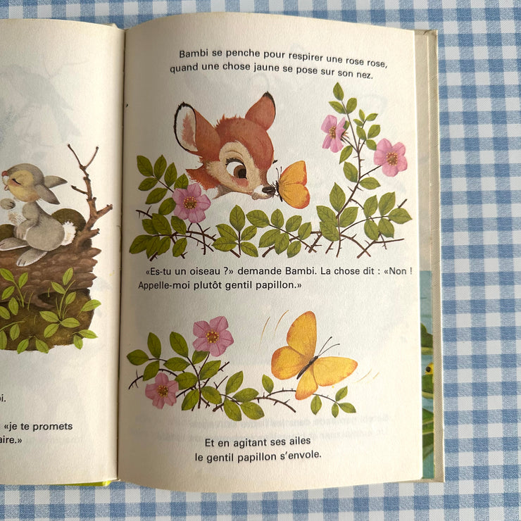 Livre Bambi perdu et retrouvé