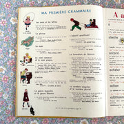 Livre Mon grand dictionnaire