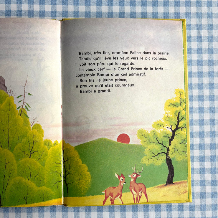 Livre Bambi grandit