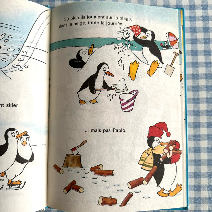 Livre Le pingouin qui n’aimait pas le froid