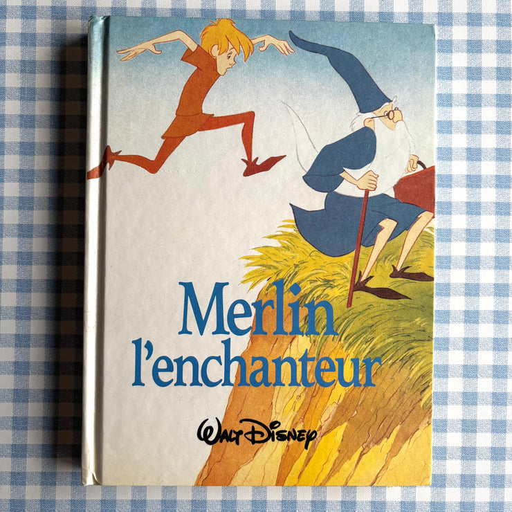 Livre merlin L'enchanteur