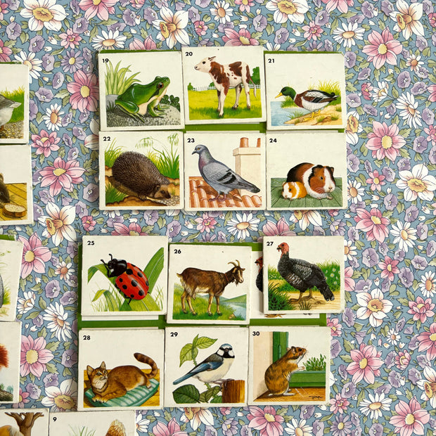 Jeu memory animaux