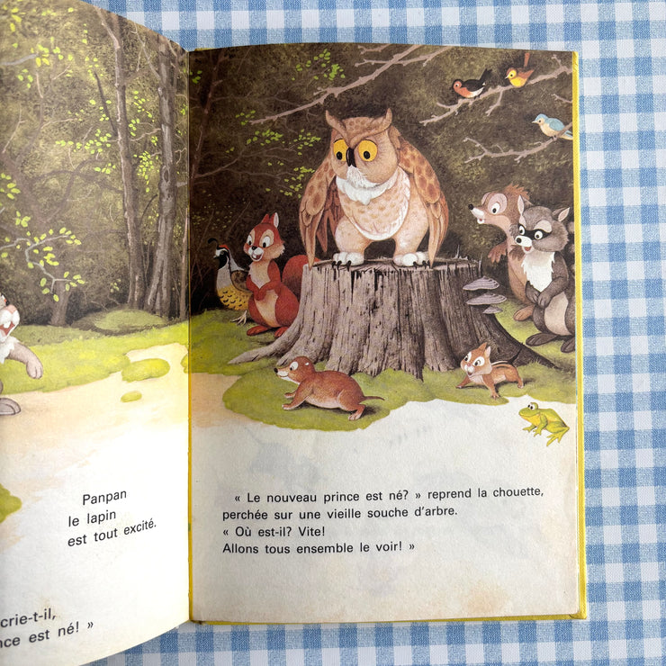 Livre Bambi grandit