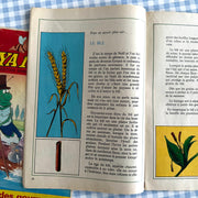 Lot de deux magazines Maya l’abeille