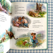 Livre Martine et le chaton vagabond