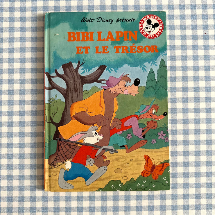 Livre Bibi lapin et le trésor