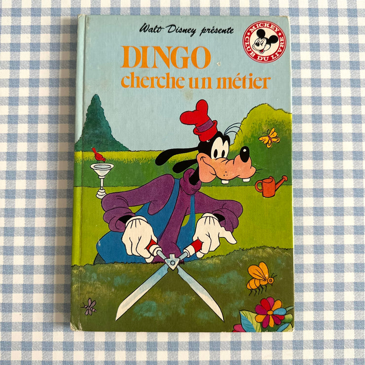 Livre Dingo cherche un métier