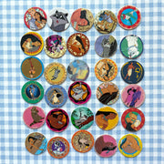 Lot n° 1 pogs Pocahontas