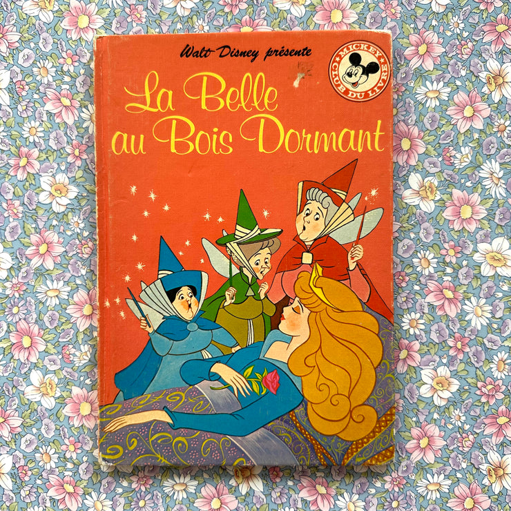 Livre La belle au bois dormant