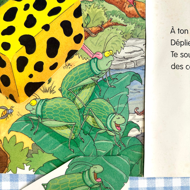 Livre 3 grenouilles jaunes