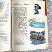 Grand livre 101 Dalmatiens