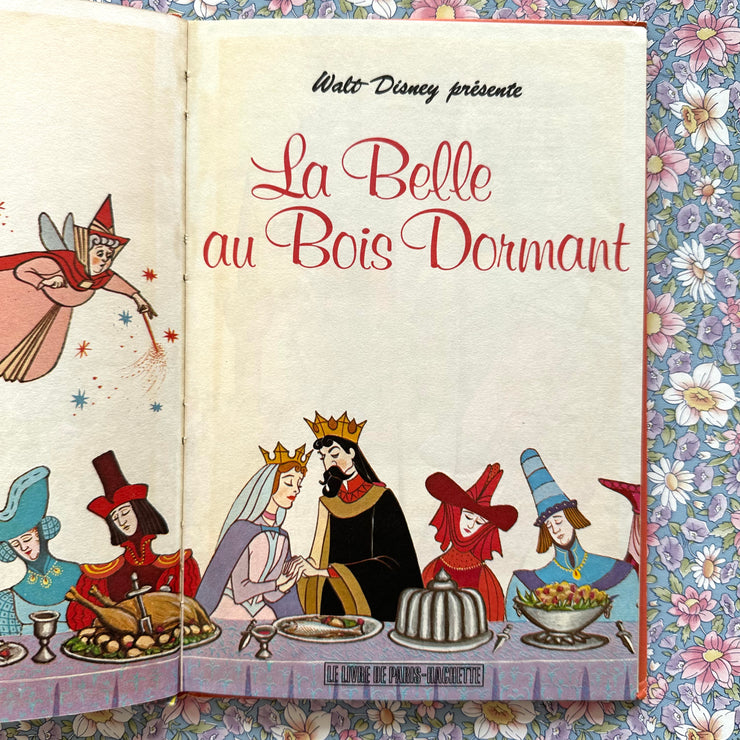 Livre La belle au bois dormant