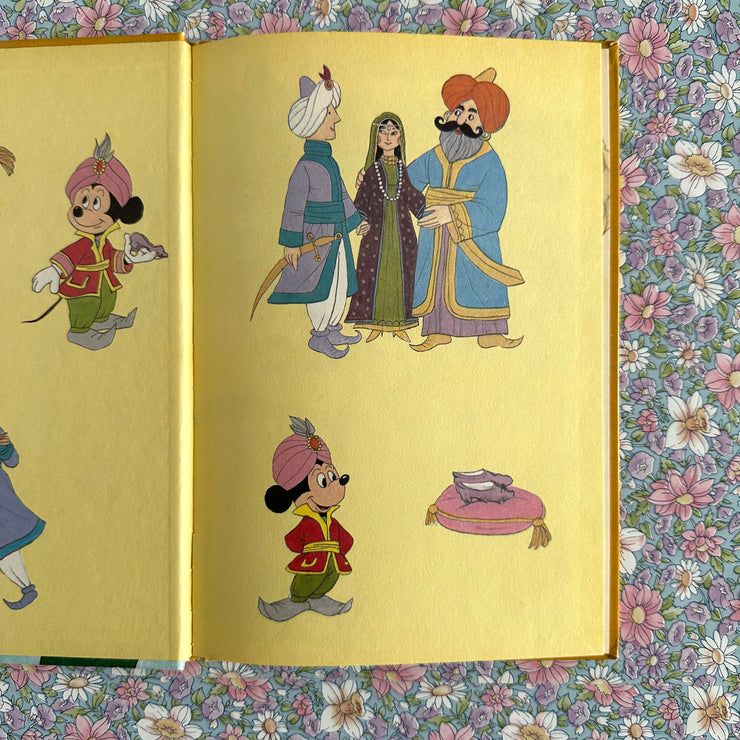 Livre Aladin et la princesse