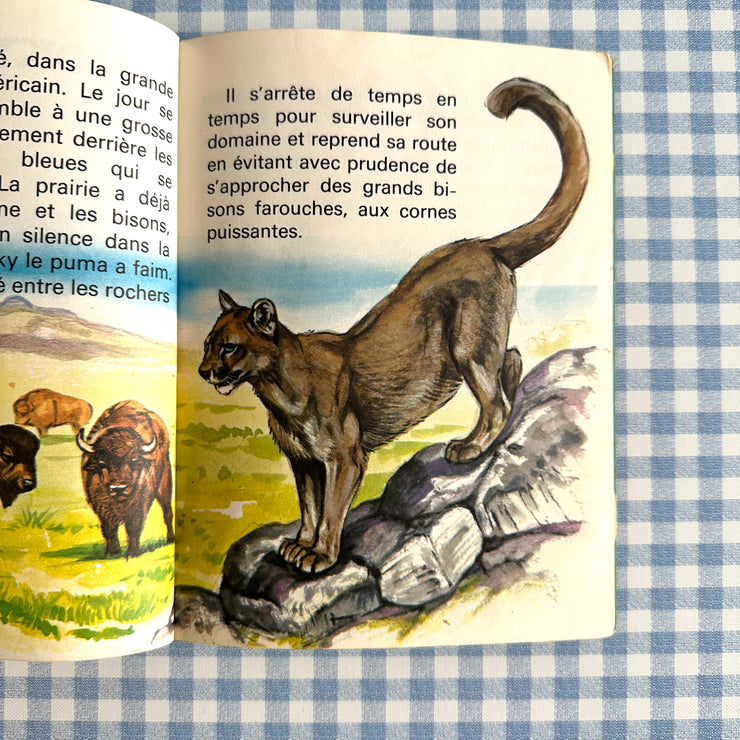 Petit livre Moky le Puma