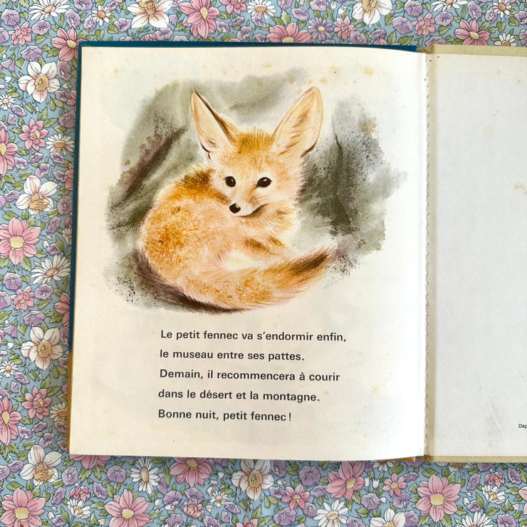 Livre le petit fennec et les animaux du désert