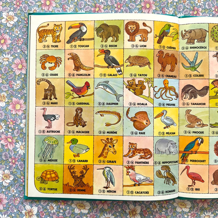 Livre Les Farfeluches au Zoo