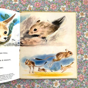 Livre le petit fennec et les animaux du désert