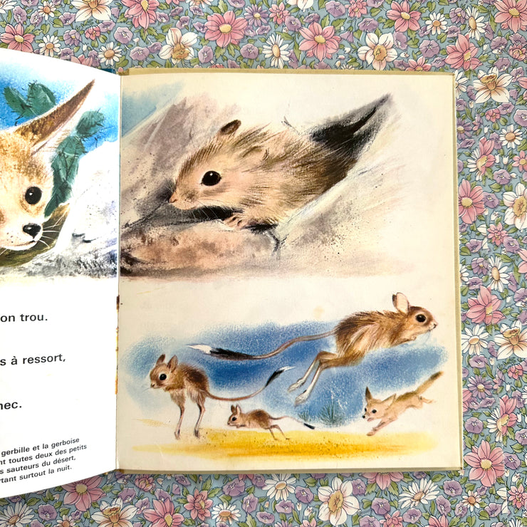 Livre le petit fennec et les animaux du désert