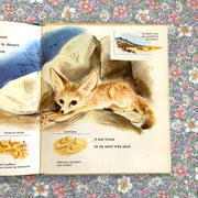 Livre le petit fennec et les animaux du désert