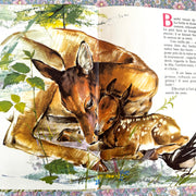 Livre L’album de Bambi